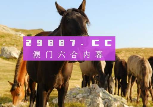 热点 第249页