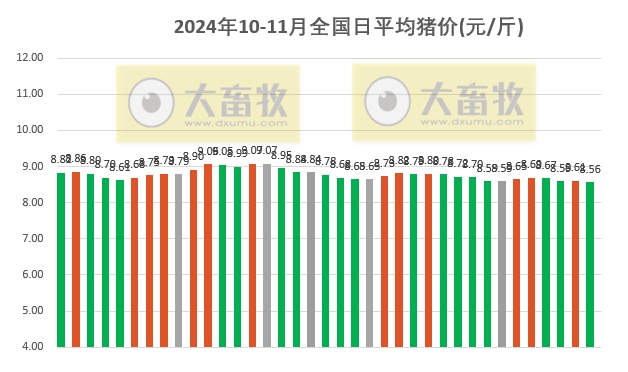 最新明日猪价格动态及市场分析