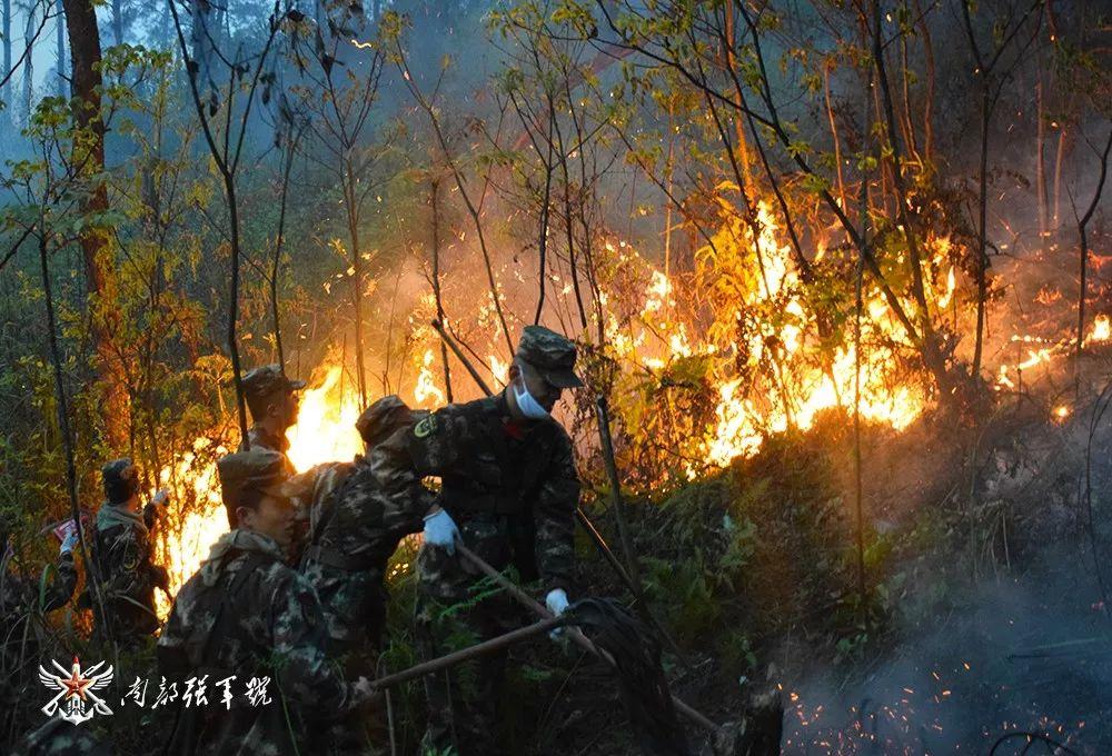 大火最新情况，全面应对与紧急救援的进展报告